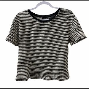 Sanctuary Cropped Short Sleeve Black White Sweater